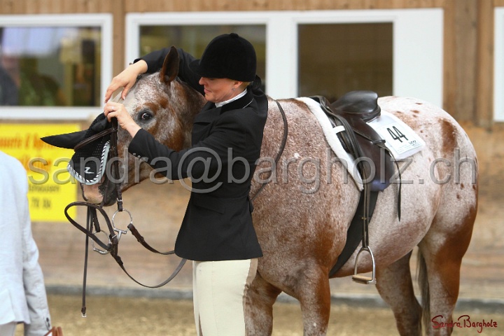 29-ApHC OHUS_059.jpg